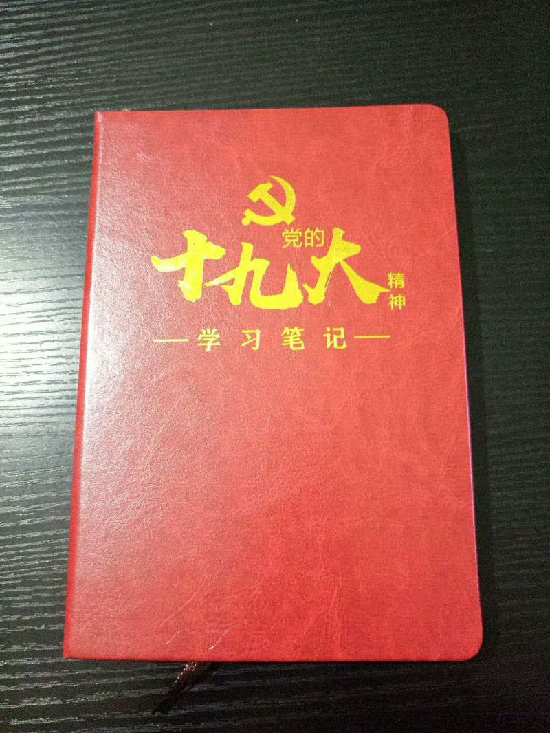 定做记事本 笔记本 烫金压痕工作日志本
