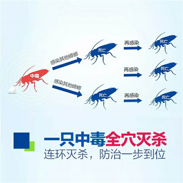 西安灭蟑螂公司电话