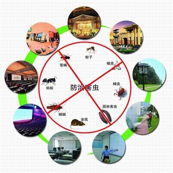 西安灭蟑螂公司电话