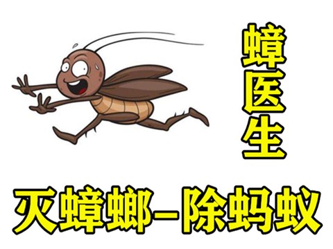 西安家庭灭除蟑螂,食堂饭店灭蟑螂公司