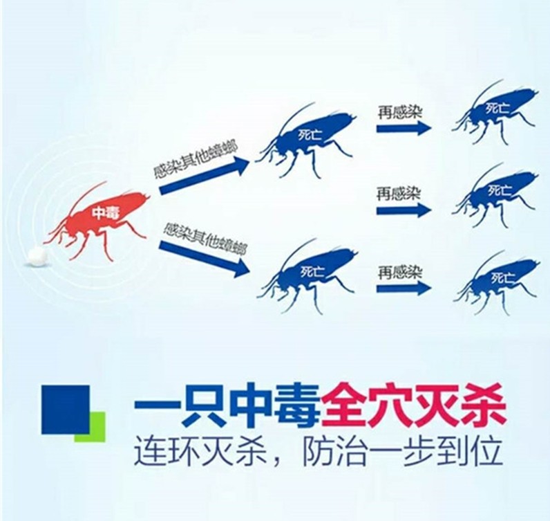 西安家庭灭除蟑螂,食堂饭店灭蟑螂公司