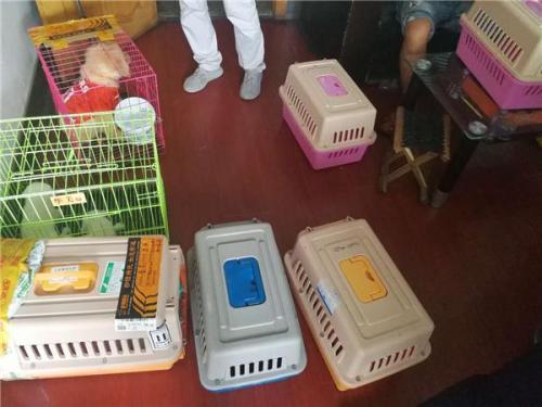 陕西西安宠物快递上门服务全国连锁