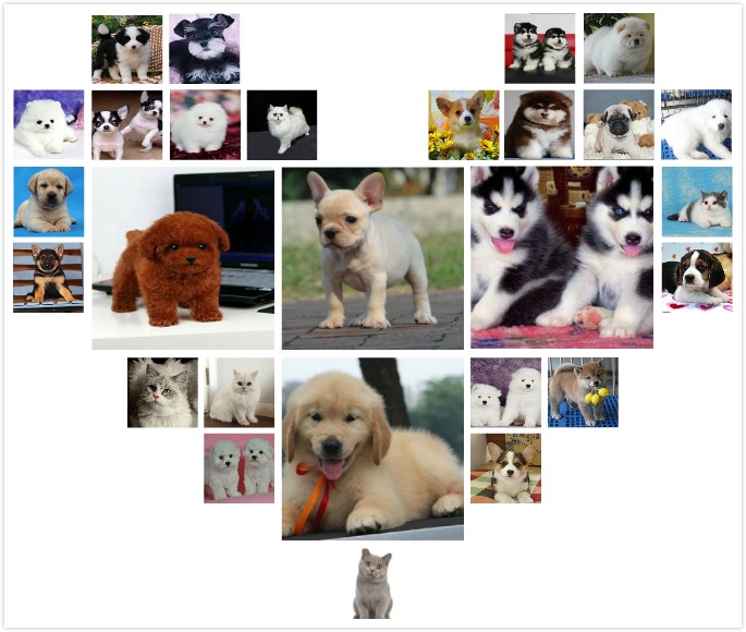 西安养殖场直销 出售世界名犬丨宠物狗狗丨全国托运免费送货