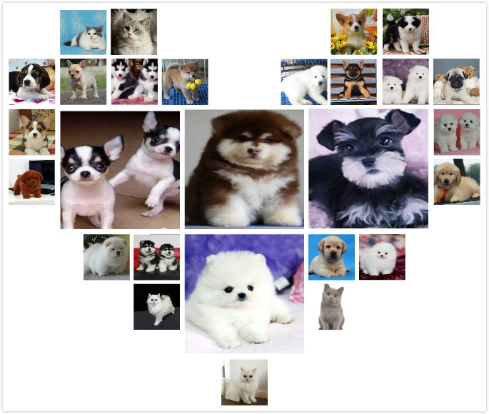 西安养殖场直销 出售世界名犬丨宠物狗狗丨全国托运免费送货