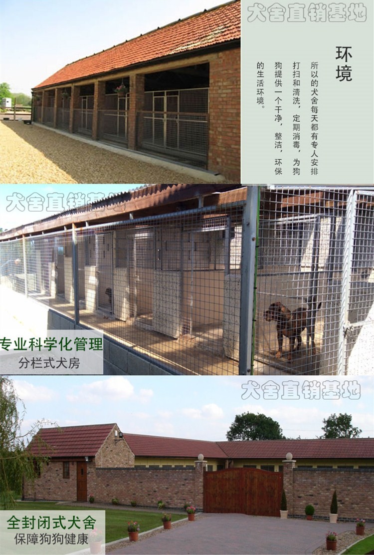 西安宠物养殖基地直销世界各类名犬 宠物狗 现场挑选 送货到家 西安宠物养殖基地直销世界各类名犬 宠物狗 现场挑选 送货到家