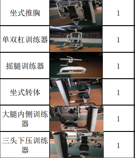 出售大量二手专业健身器材