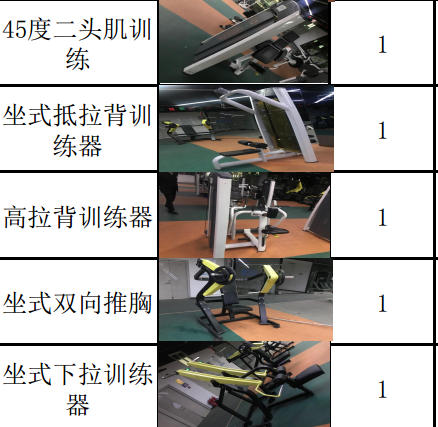 出售大量二手专业健身器材