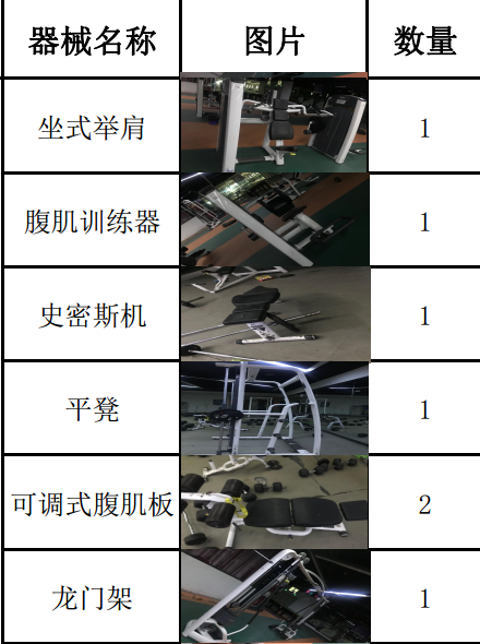 出售大量二手专业健身器材