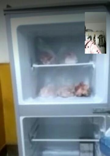 金松冰箱121升